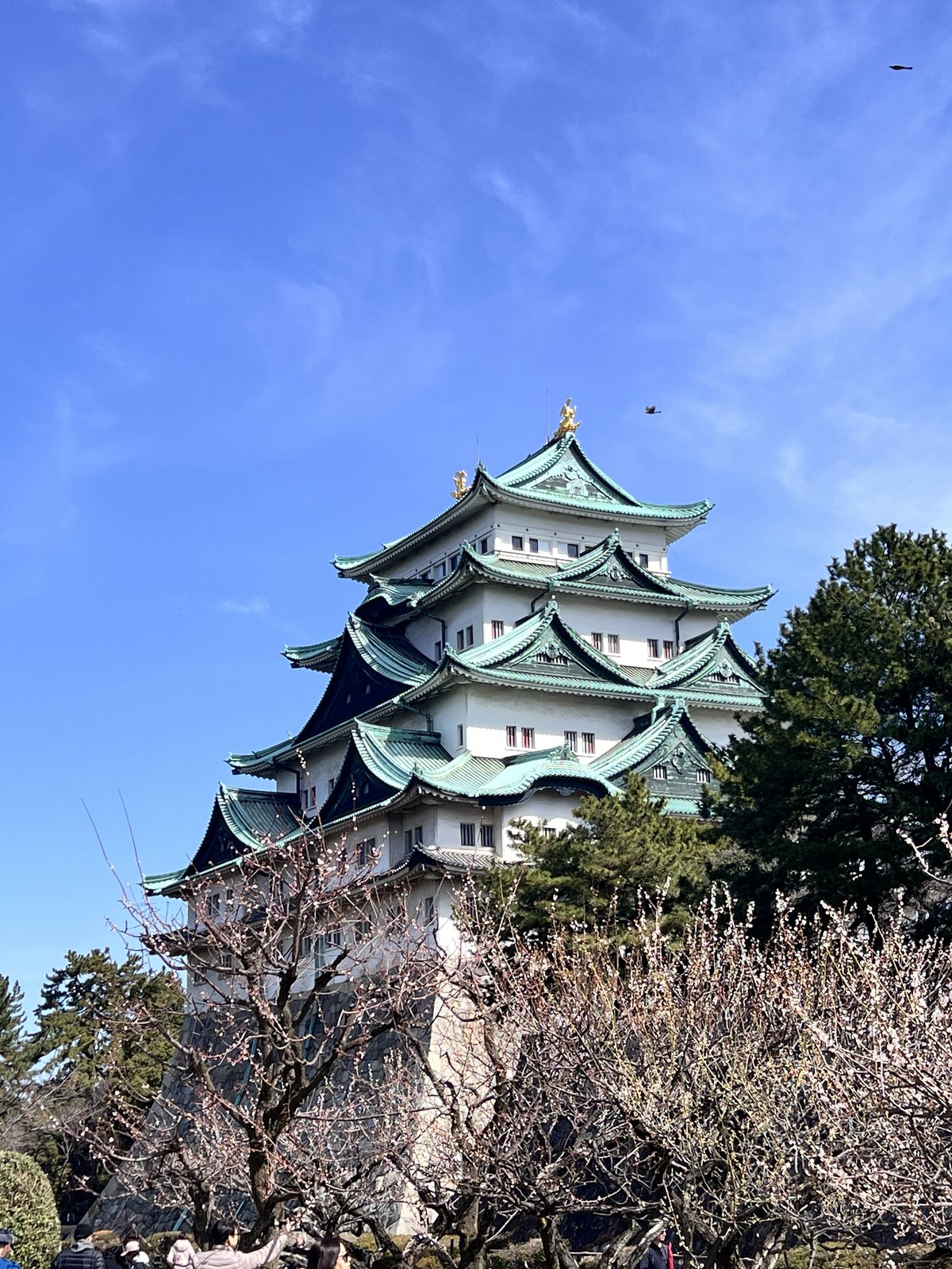 名古屋城 天守閣