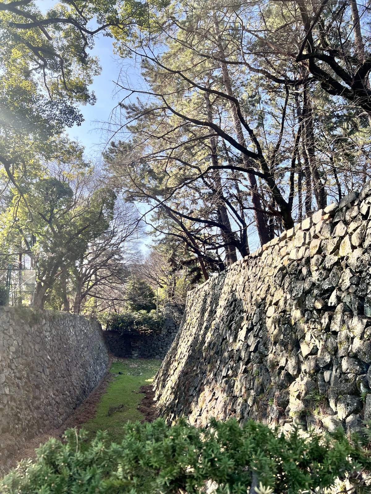 名古屋城・石垣通路の刻印石 もふねこ撮影