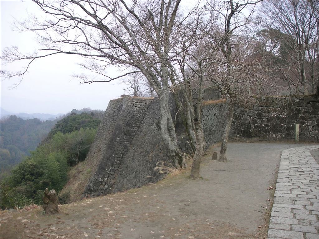 岡城跡 石垣と山の眺望
