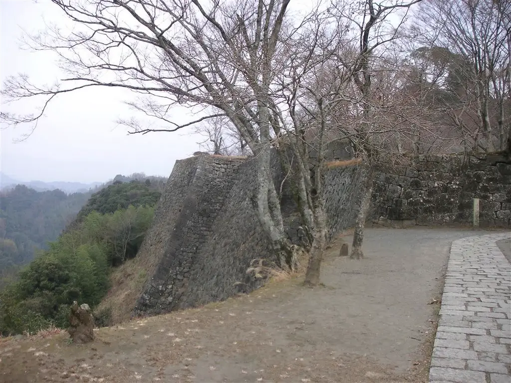 岡城跡 石垣と山の眺望