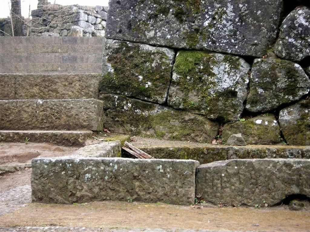 岡城跡 苔むした石段と石垣
