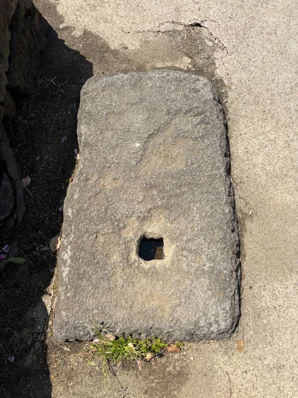 軸石のクローズアップ