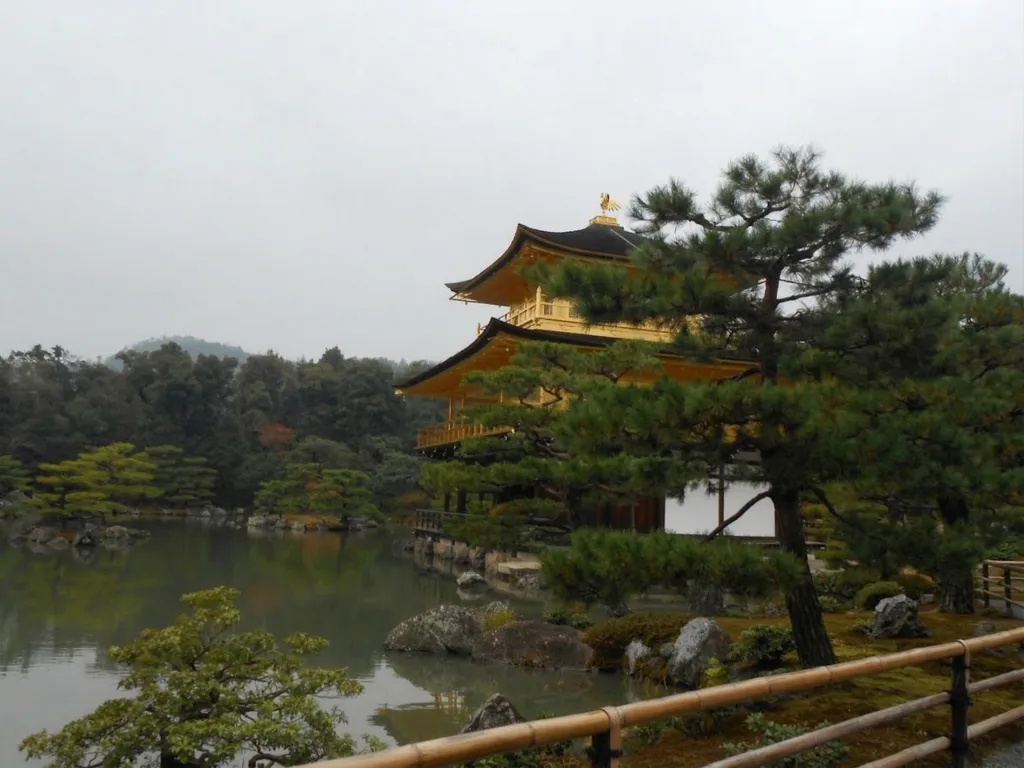 松越しに見る金閣寺